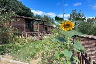 KÂĞITHANE BELEDİYESİ 2026 HOBİ BAHÇELERİ İÇİN BAŞVURULARI BAŞLATTI